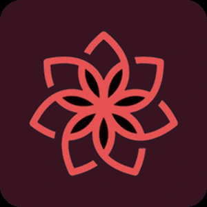 Betchan Casino logo